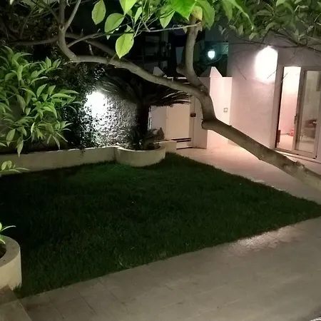 Lemon Tree
