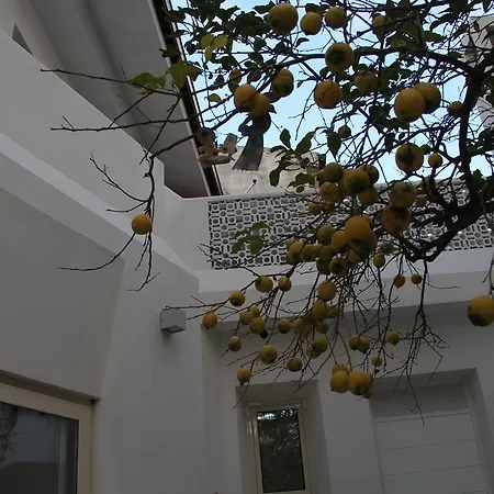 Apartment Lemon Tree Parghelia