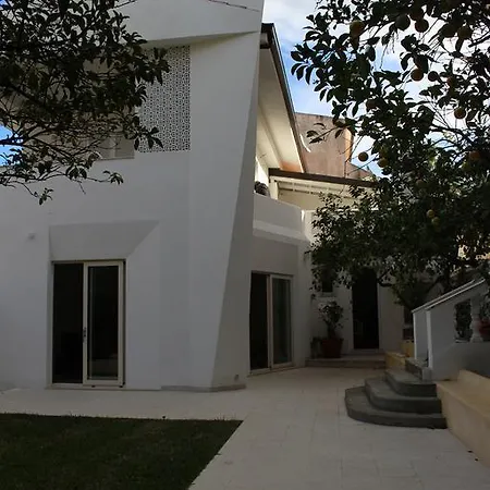 Apartment Lemon Tree