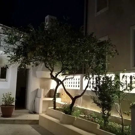 Lemon Tree Parghelia