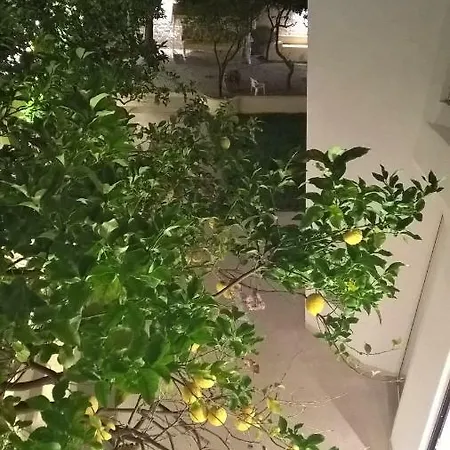 Lemon Tree Apartment *